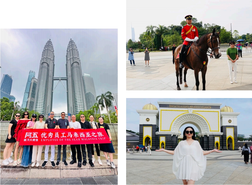 微信截图_20241111181028
