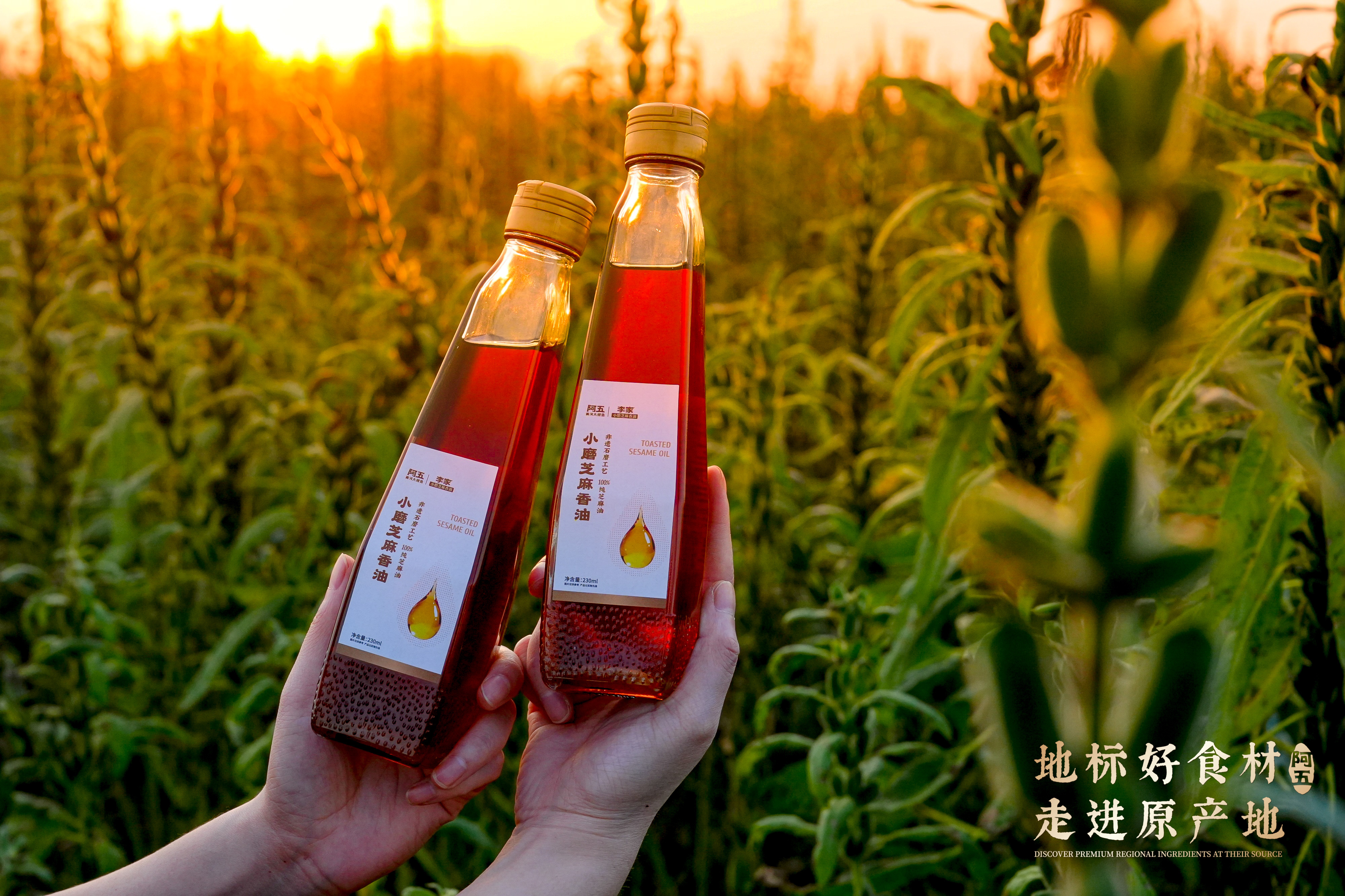 地标好食材 | 阿五&李家小磨香油合作基地揭牌